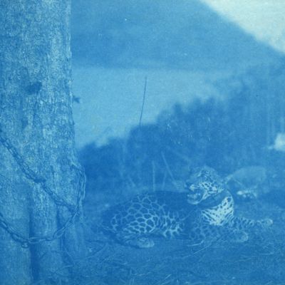 http://mediahistoricarchives.org/source/Lees/P-16025.jpg
