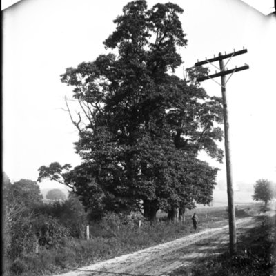 http://mediahistoricarchives.org/source/Appleton/AP-5058-2.jpg