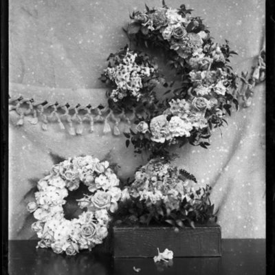 http://mediahistoricarchives.org/source/Appleton/AP-5156-5.jpg