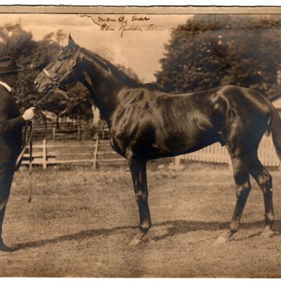 http://mediahistoricarchives.org/source/Lees/P-09001.jpg