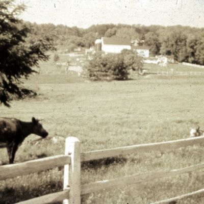 http://mediahistoricarchives.org/source/Lees/P-18205.jpg
