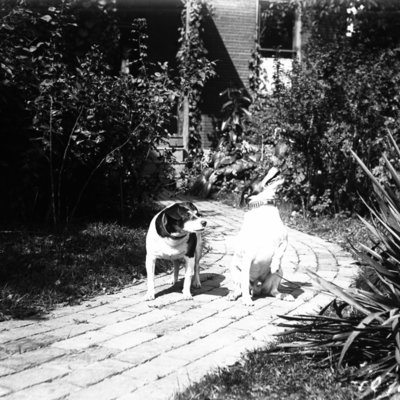 http://mediahistoricarchives.org/source/Appleton/AP-4071-2.jpg