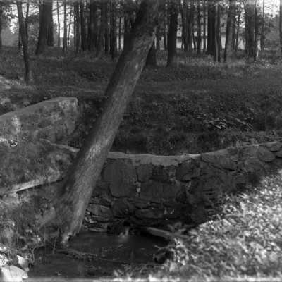 http://mediahistoricarchives.org/source/Appleton/AP-9053.jpg