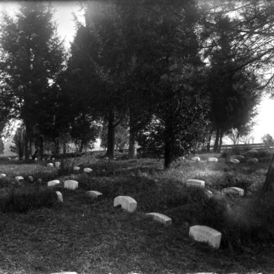 http://mediahistoricarchives.org/source/Appleton/AP-5037.jpg
