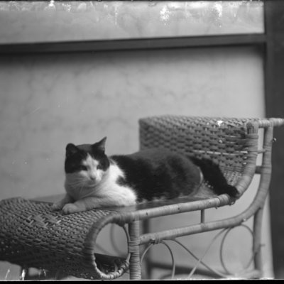 http://mediahistoricarchives.org/source/Appleton/AP-5506.jpg
