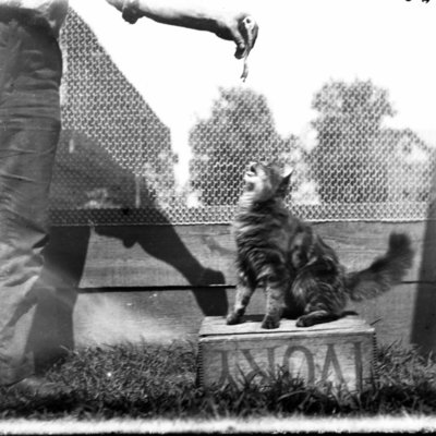 http://mediahistoricarchives.org/source/Appleton/AP-4422.jpg