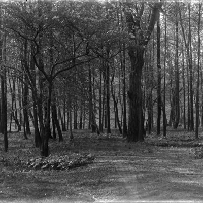 http://mediahistoricarchives.org/source/Appleton/AP-9044.jpg