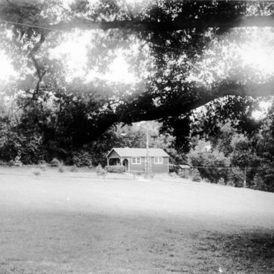 http://mediahistoricarchives.org/source/Lees/P-01179.jpg