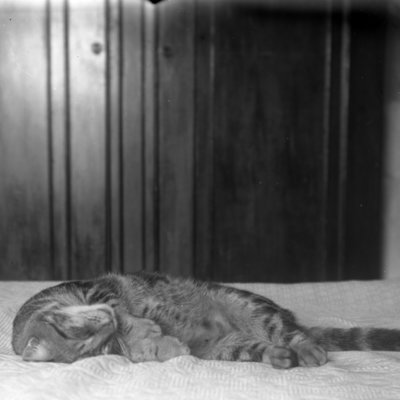 http://mediahistoricarchives.org/source/Appleton/AP-4080-2.jpg
