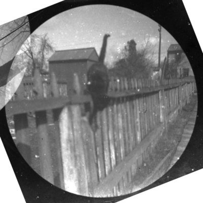 http://mediahistoricarchives.org/source/Appleton/AP-5128-3.jpg