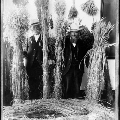 http://mediahistoricarchives.org/source/Appleton/AP-8352-1.jpg