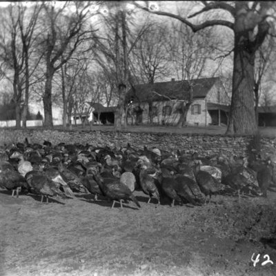 http://mediahistoricarchives.org/source/Appleton/AP-4214-2.jpg