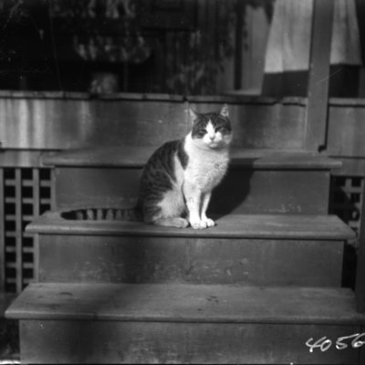 http://mediahistoricarchives.org/source/Appleton/AP-4056-2.jpg