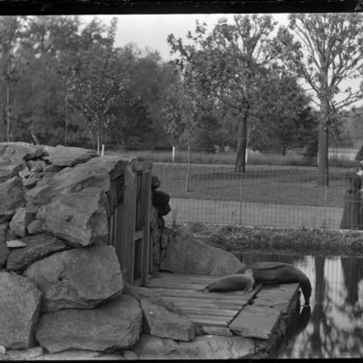 http://mediahistoricarchives.org/source/Appleton/AP-5235.jpg