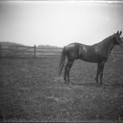 http://mediahistoricarchives.org/source/Appleton/AP-8092-2.jpg