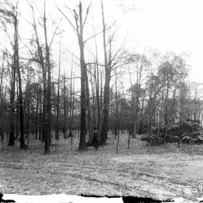 http://mediahistoricarchives.org/source/Appleton/AP-8396-2.jpg