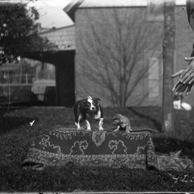 http://mediahistoricarchives.org/source/Appleton/AP-4250-1.jpg
