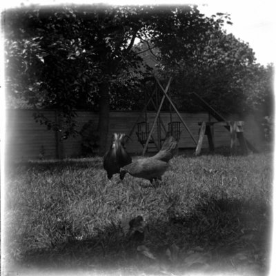 http://mediahistoricarchives.org/source/Appleton/AP-4416.jpg