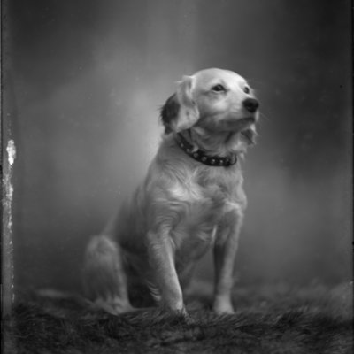 http://mediahistoricarchives.org/source/Appleton/AP-8354.jpg