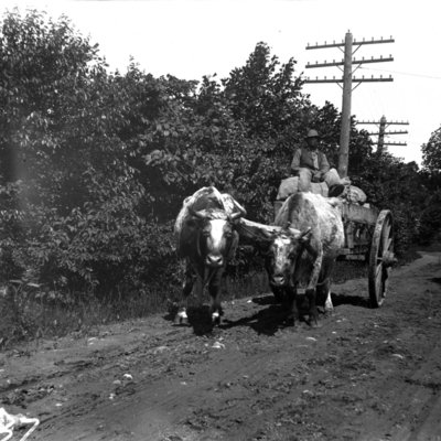 http://mediahistoricarchives.org/source/Appleton/AP-4137.jpg
