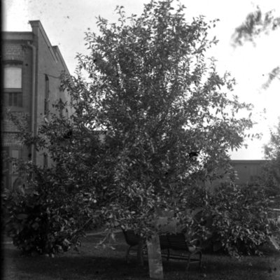http://mediahistoricarchives.org/source/Appleton/AP-4143-2.jpg