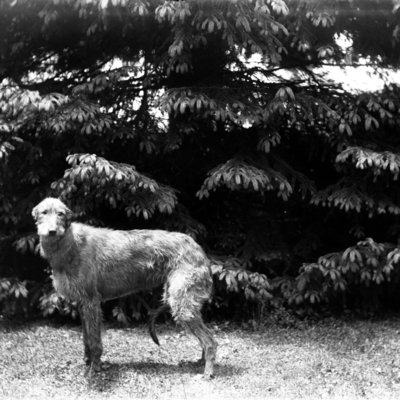 http://mediahistoricarchives.org/source/Appleton/AP-5070.jpg