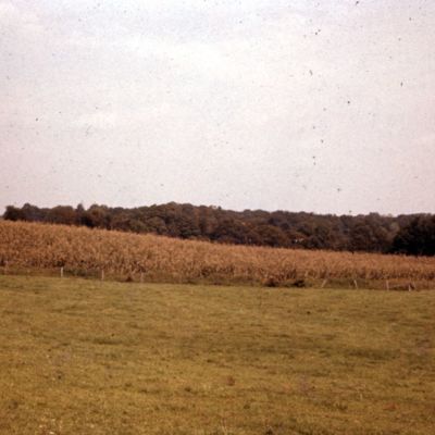 http://mediahistoricarchives.org/source/Lees/P-18115.jpg