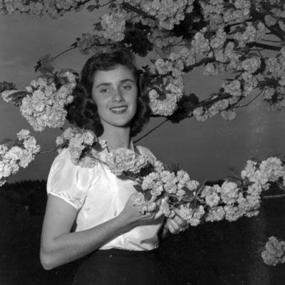 http://mediahistoricarchives.org/source/Zimmerman/ZM-3091.jpg