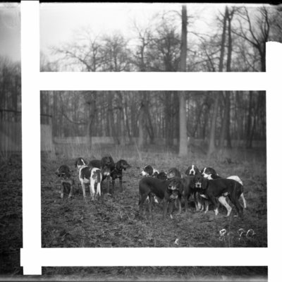 http://mediahistoricarchives.org/source/Appleton/AP-8090.jpg