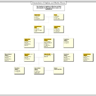 Descendants of Stephen and Martha Horne_highlighted (1).pdf