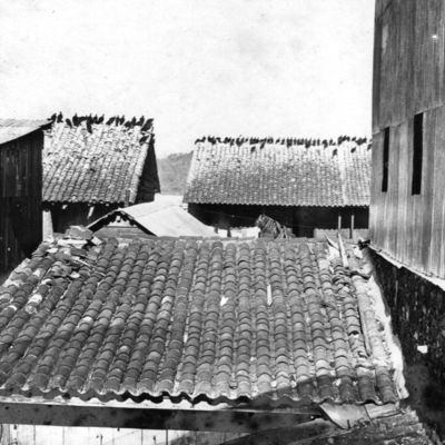 http://mediahistoricarchives.org/source/Lees/P-16002.jpg