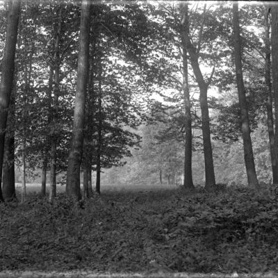 http://mediahistoricarchives.org/source/Appleton/AP-9056.jpg