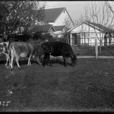 http://mediahistoricarchives.org/source/Appleton/AP-5325.jpg