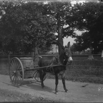 http://mediahistoricarchives.org/source/Appleton/AP-8080.jpg