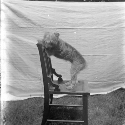 http://mediahistoricarchives.org/source/Appleton/AP-4219-2.jpg