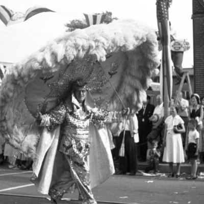 http://mediahistoricarchives.org/source/Zimmerman/P-19194-12.jpg