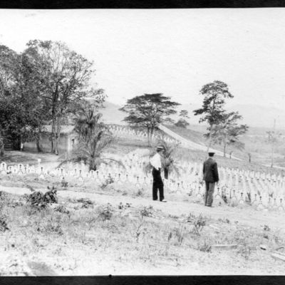 http://mediahistoricarchives.org/source/Lees/P-16011.jpg