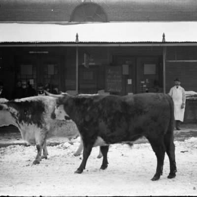 http://mediahistoricarchives.org/source/Appleton/AP-5135-3.jpg