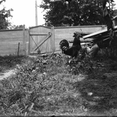 http://mediahistoricarchives.org/source/Appleton/AP-4417.jpg
