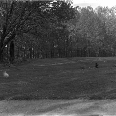 http://mediahistoricarchives.org/source/Appleton/AP-9048.jpg
