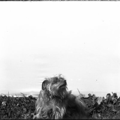 http://mediahistoricarchives.org/source/Appleton/AP-4144.jpg