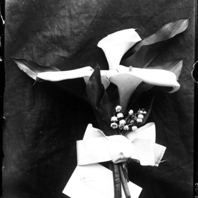 http://mediahistoricarchives.org/source/Appleton/AP-5075.jpg