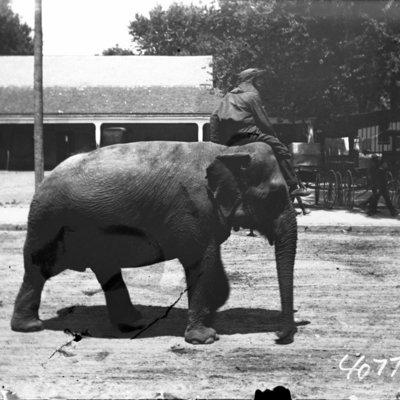 http://mediahistoricarchives.org/source/Appleton/AP-4077-1.jpg