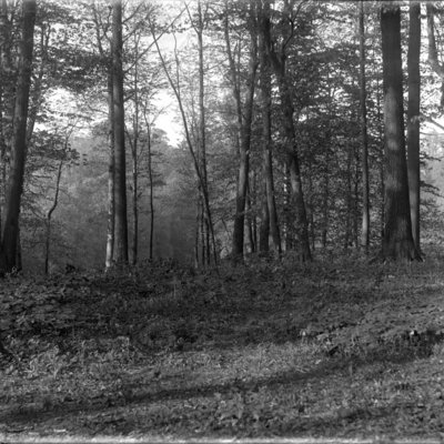 http://mediahistoricarchives.org/source/Appleton/AP-9049.jpg