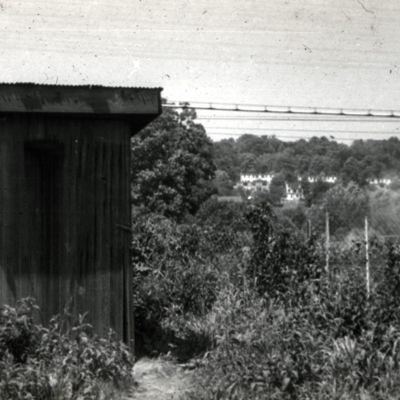 http://mediahistoricarchives.org/source/Lees/P-18076.jpg