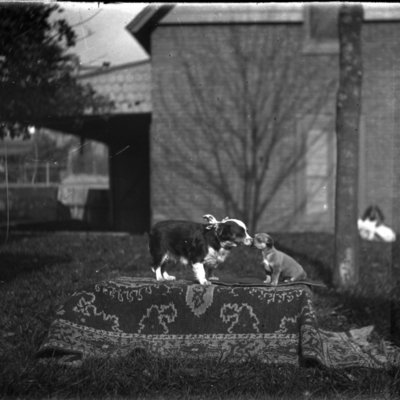 http://mediahistoricarchives.org/source/Appleton/AP-4250-2.jpg