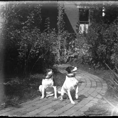 http://mediahistoricarchives.org/source/Appleton/AP-4244.jpg