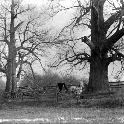 http://mediahistoricarchives.org/source/Appleton/AP-5038.jpg