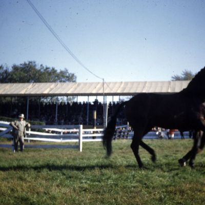 http://mediahistoricarchives.org/source/Lees/P-18172.jpg