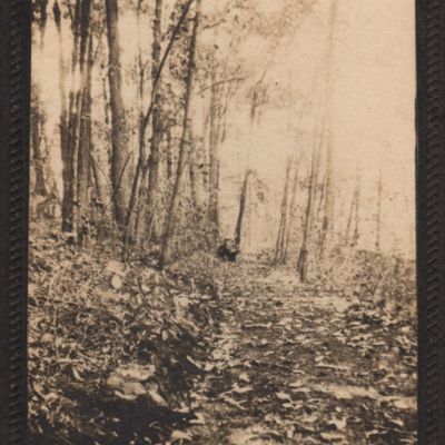 http://mediahistoricarchives.org/source/Lees/P-08019.jpg
